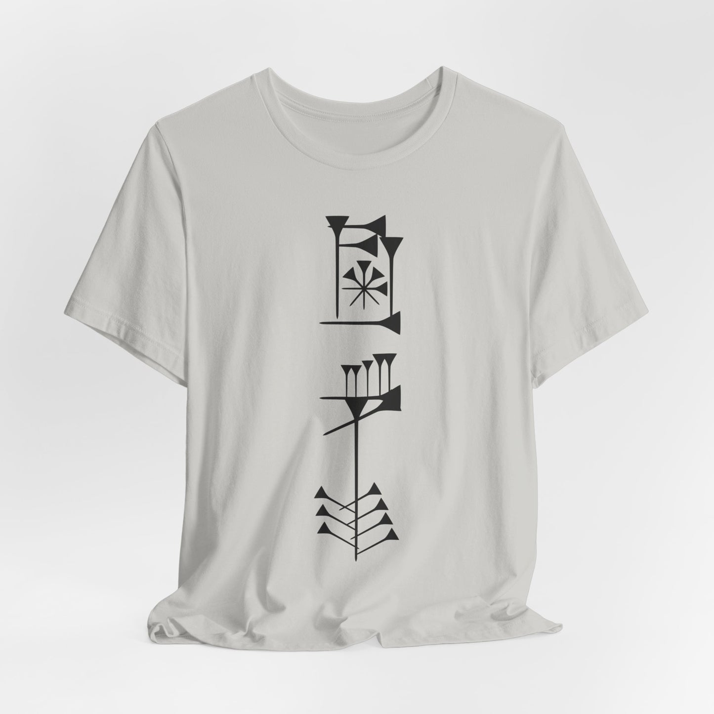 Timro - Cuneiform T-Shirt for History Lovers