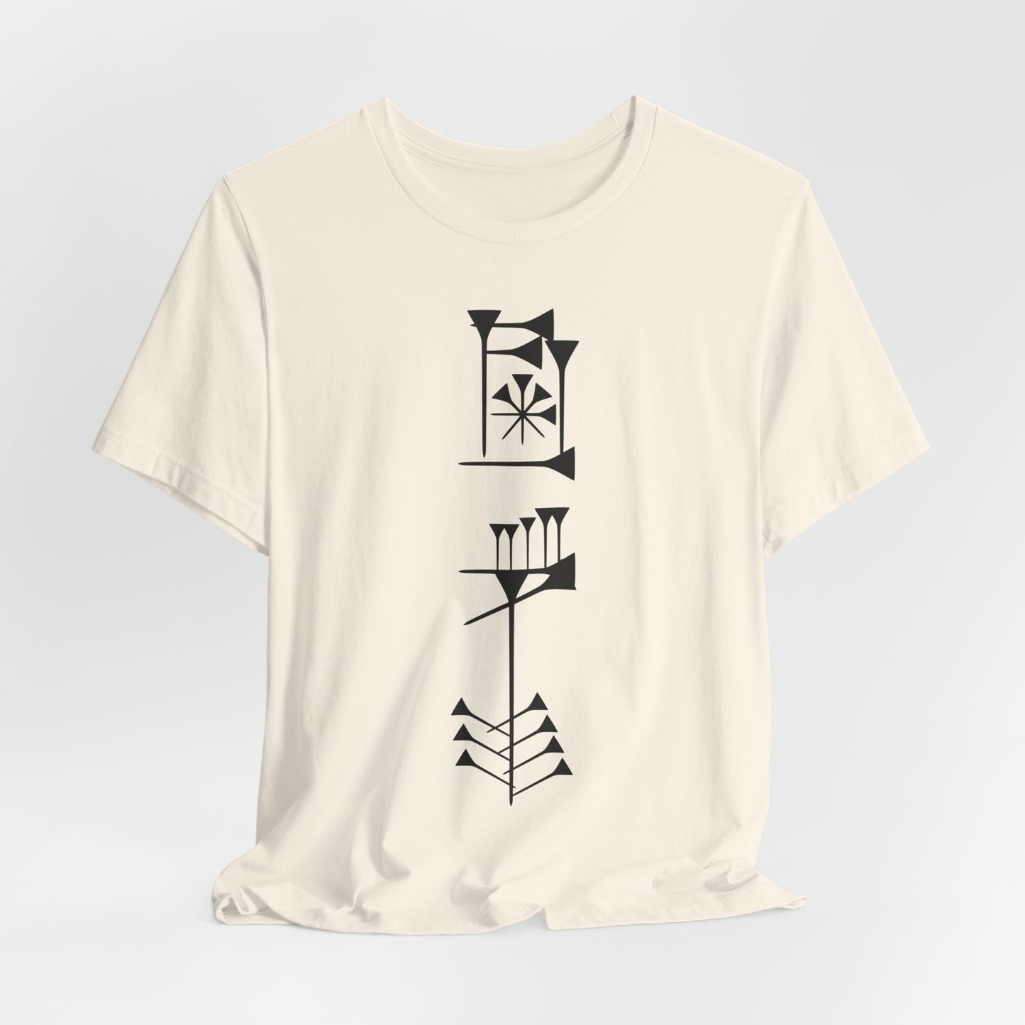 Timro - Cuneiform T-Shirt for History Lovers