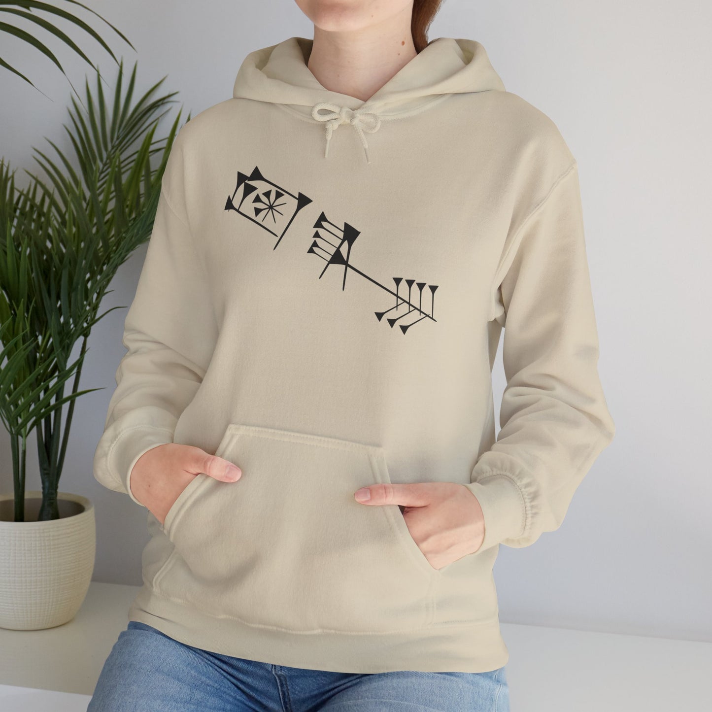 Timro - Cuneiform Hoodie Sweatshirt