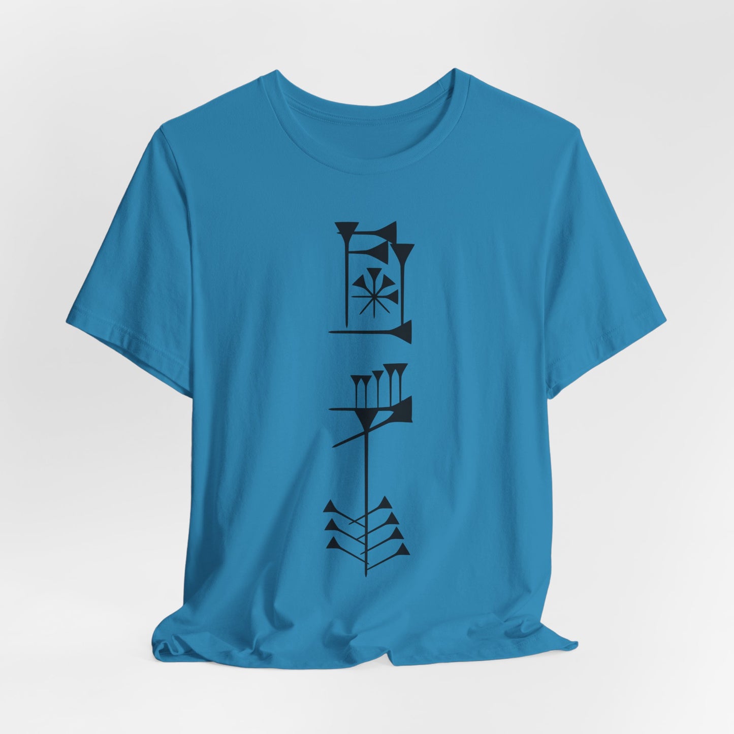 Timro - Cuneiform T-Shirt for History Lovers
