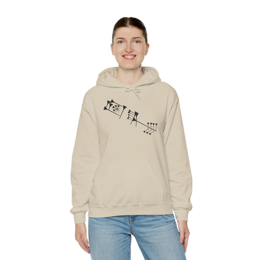 Timro - Cuneiform Hoodie Sweatshirt