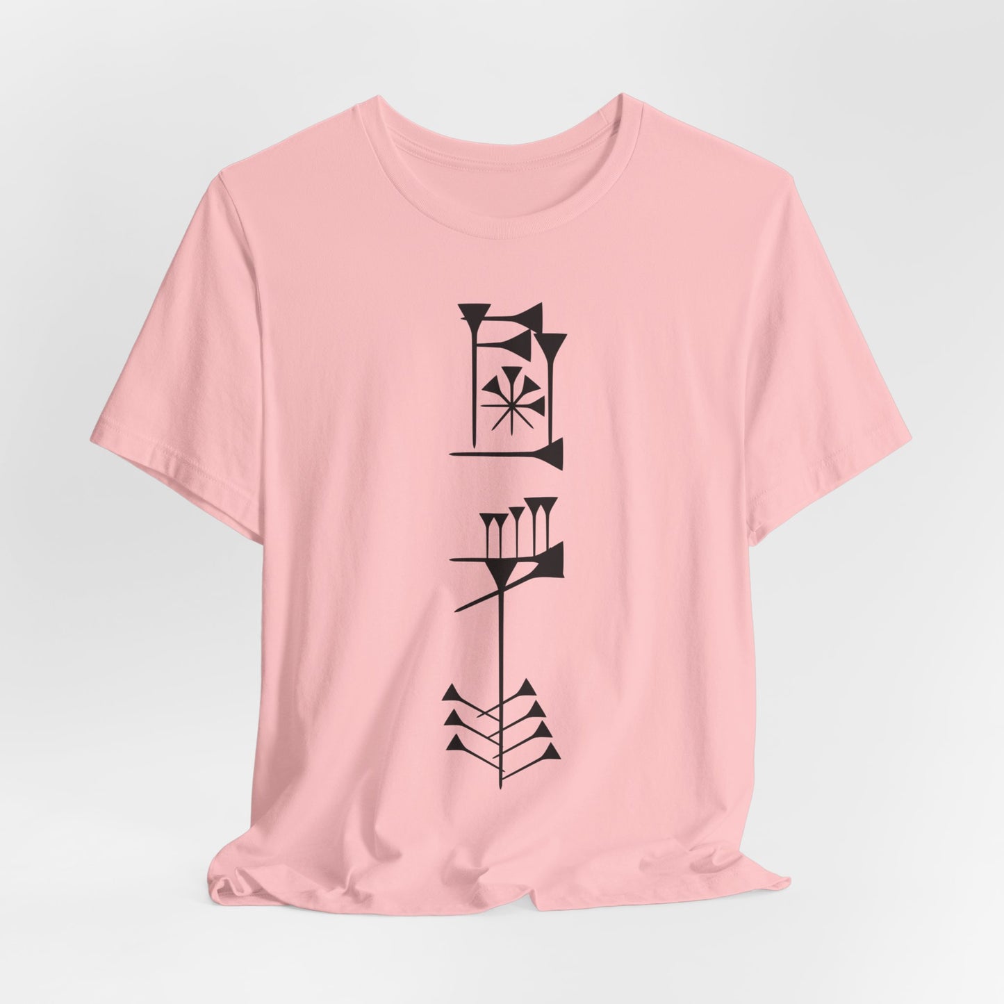 Timro - Cuneiform T-Shirt for History Lovers