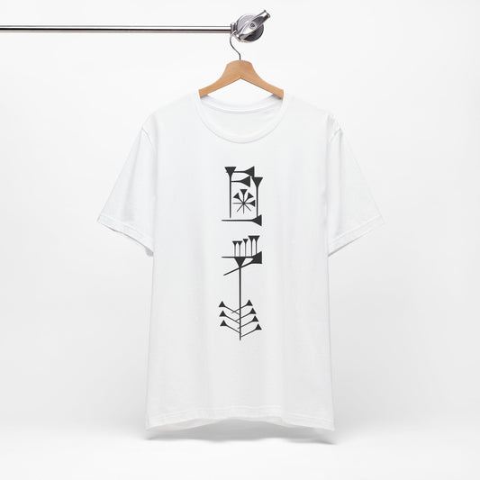 Timro - Cuneiform T-Shirt for History Lovers
