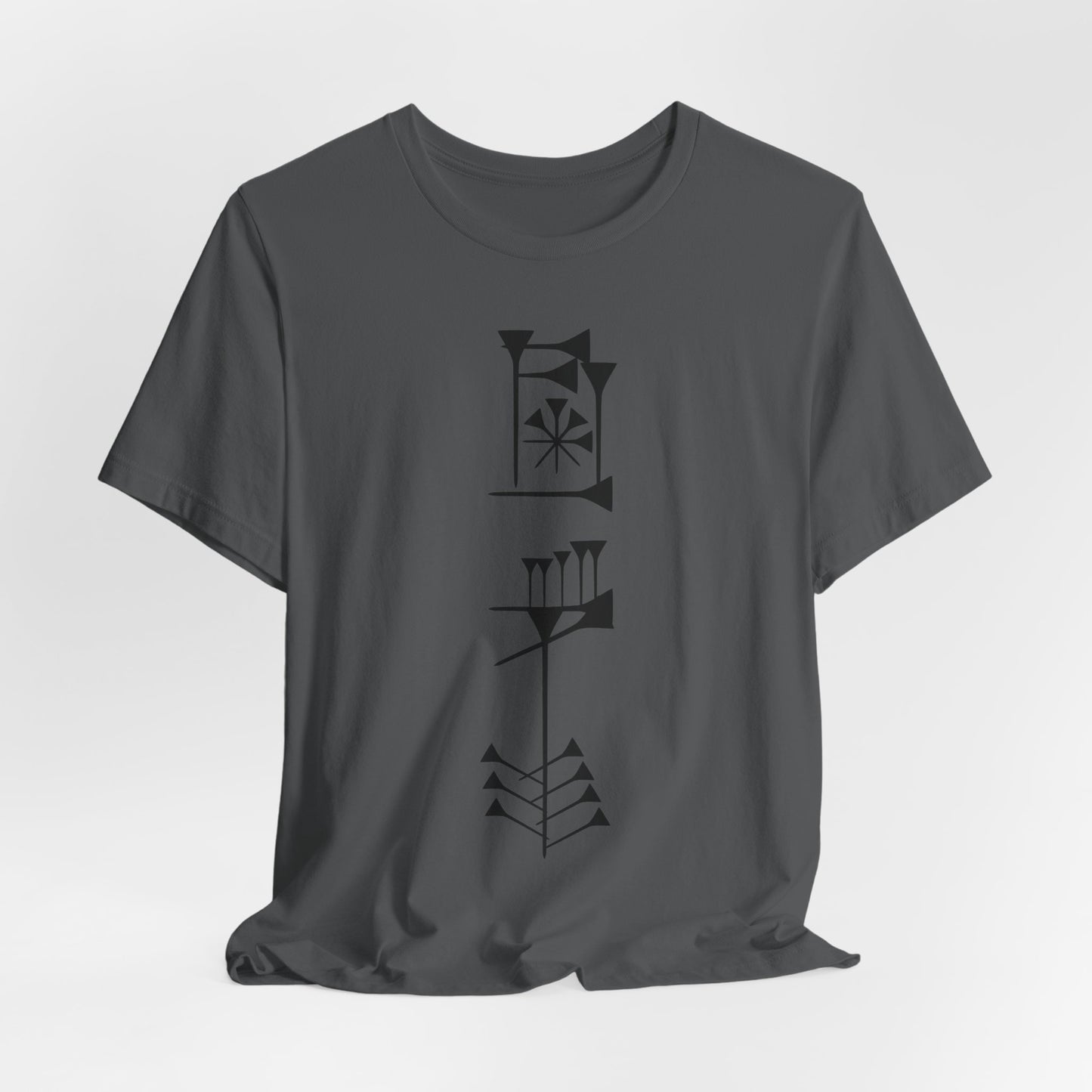 Timro - Cuneiform T-Shirt for History Lovers