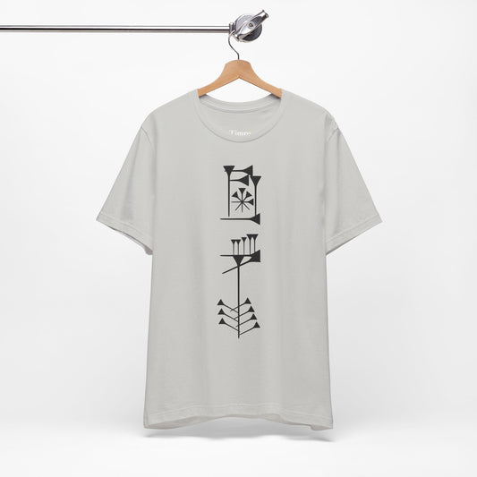 Timro - Cuneiform T-Shirt for History Lovers