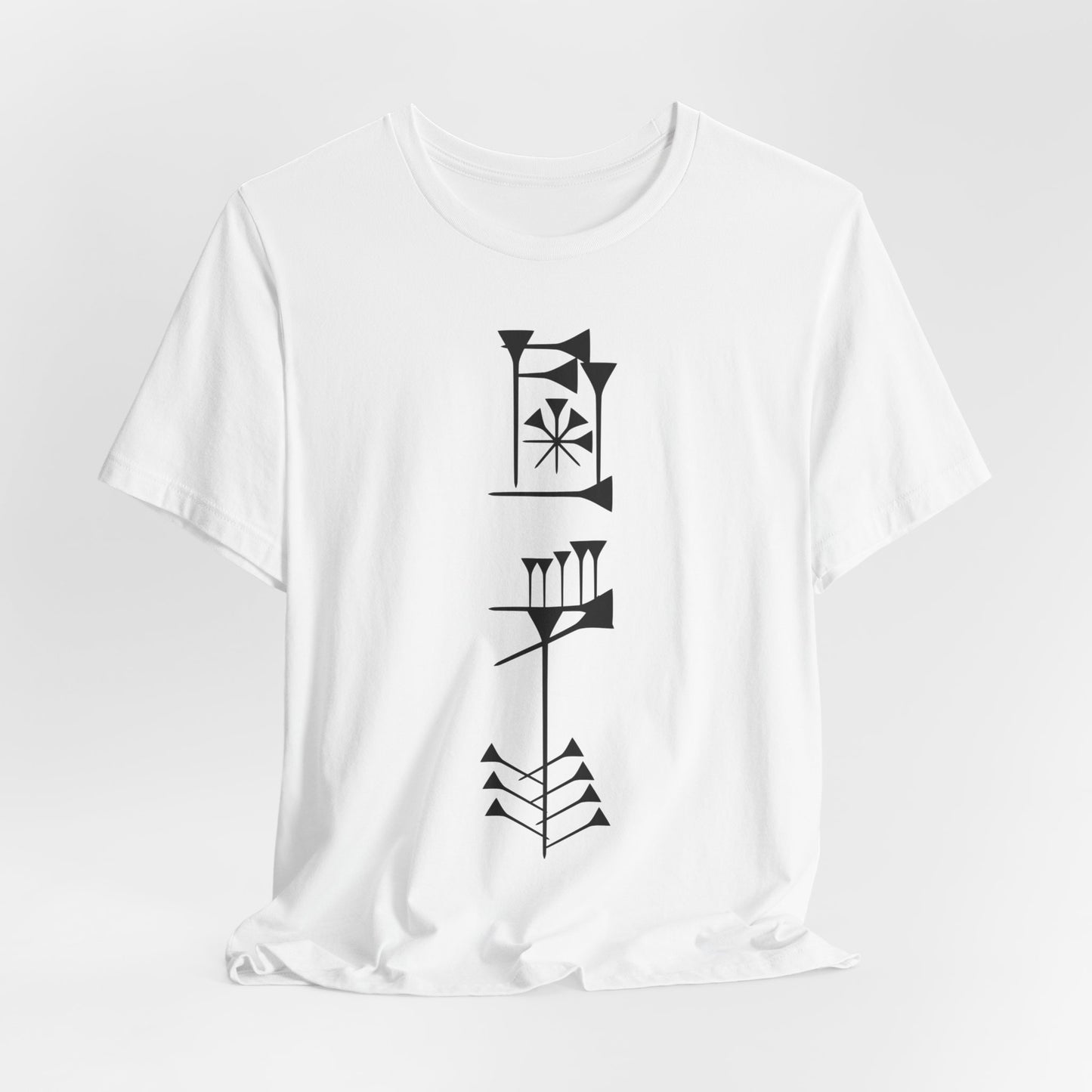 Timro - Cuneiform T-Shirt for History Lovers