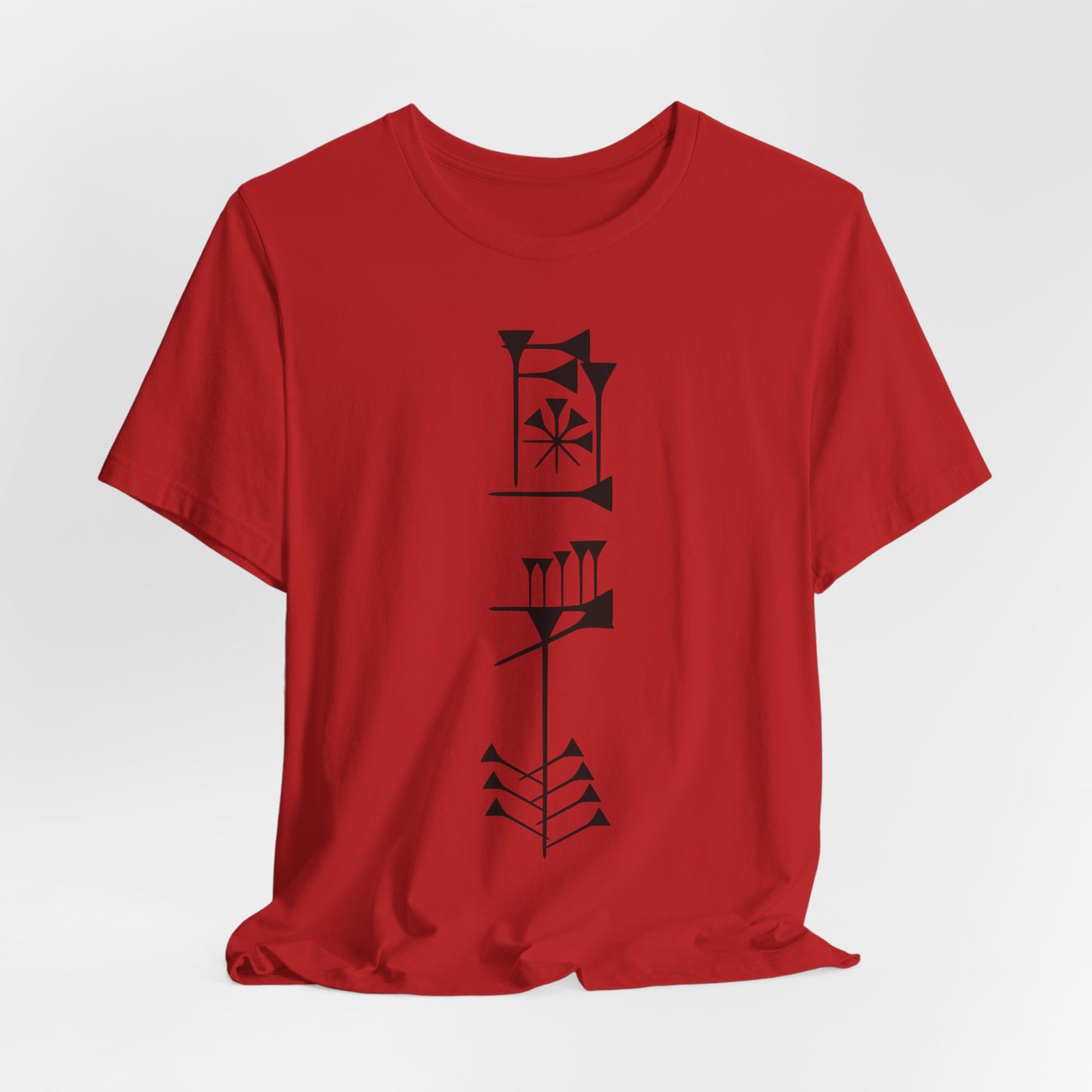 Timro - Cuneiform T-Shirt for History Lovers