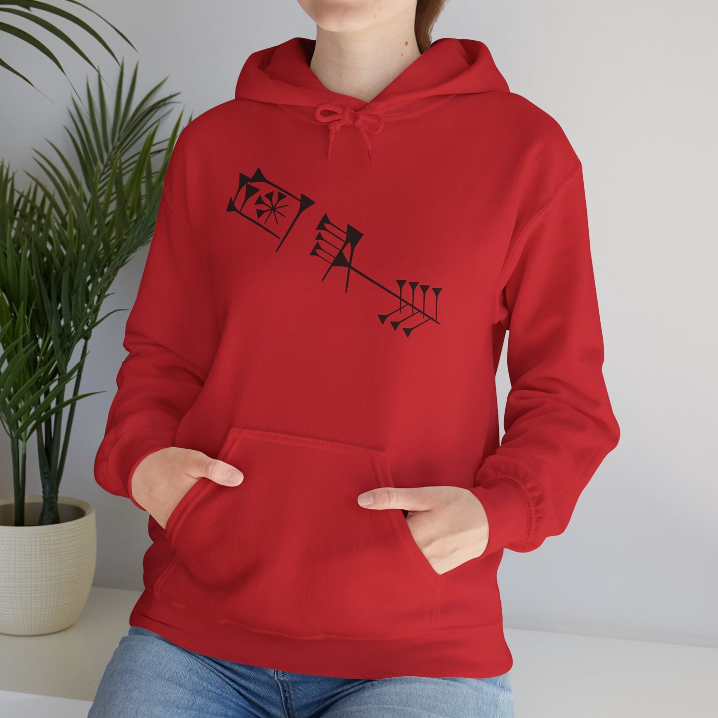 Timro - Cuneiform Hoodie Sweatshirt